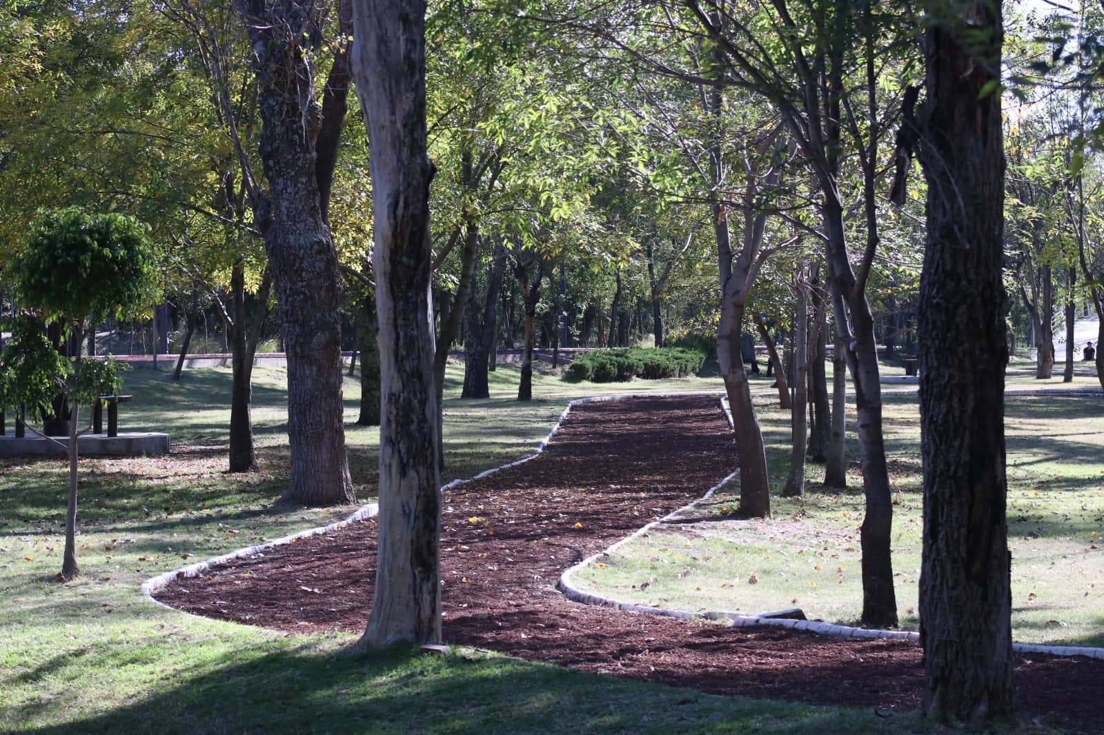 foto tomada de paseo en la pista de caminar con diversion para todos